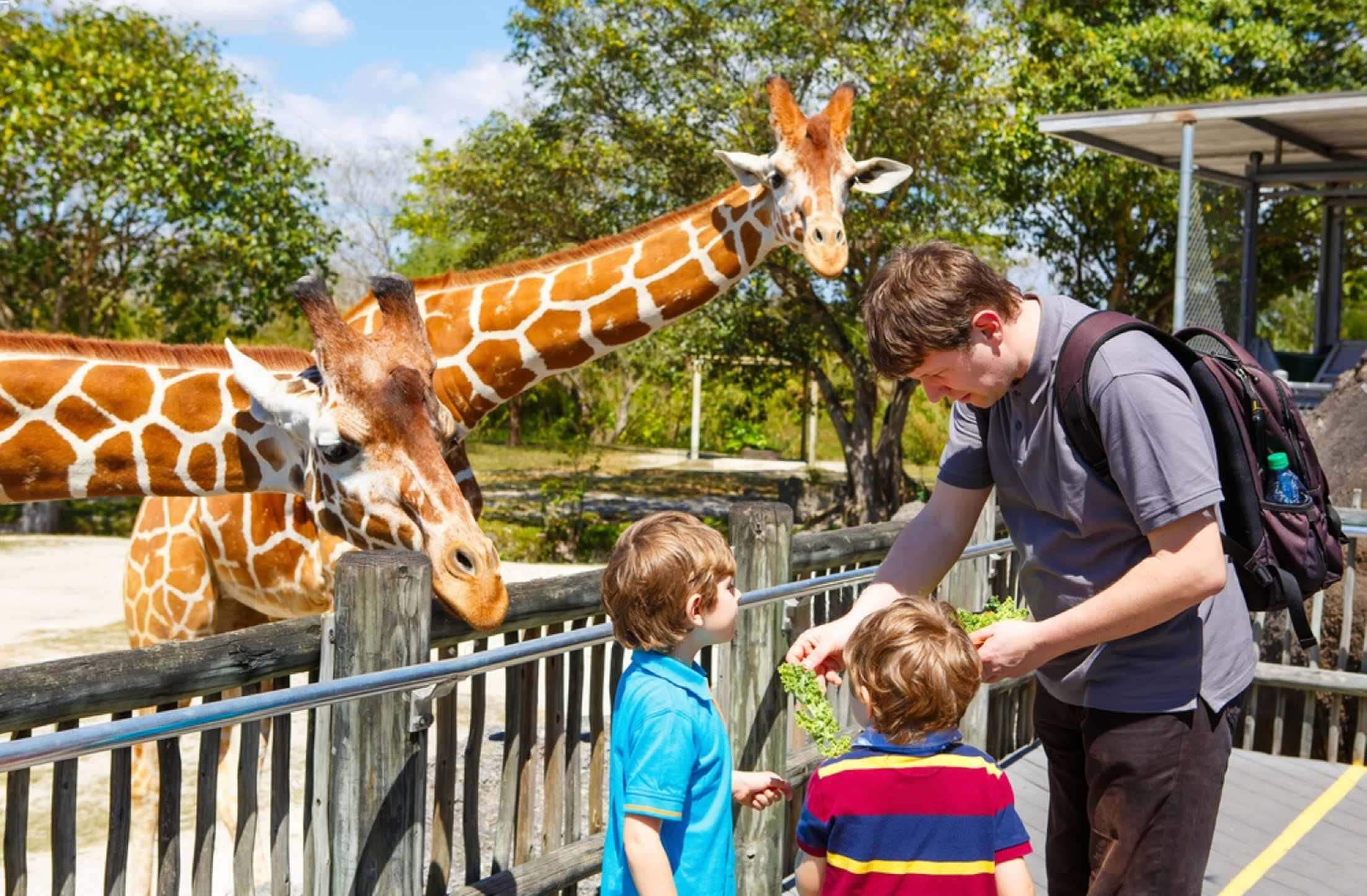 6 Days Chiang Mai & Bangkok Cultural Discovery Tour