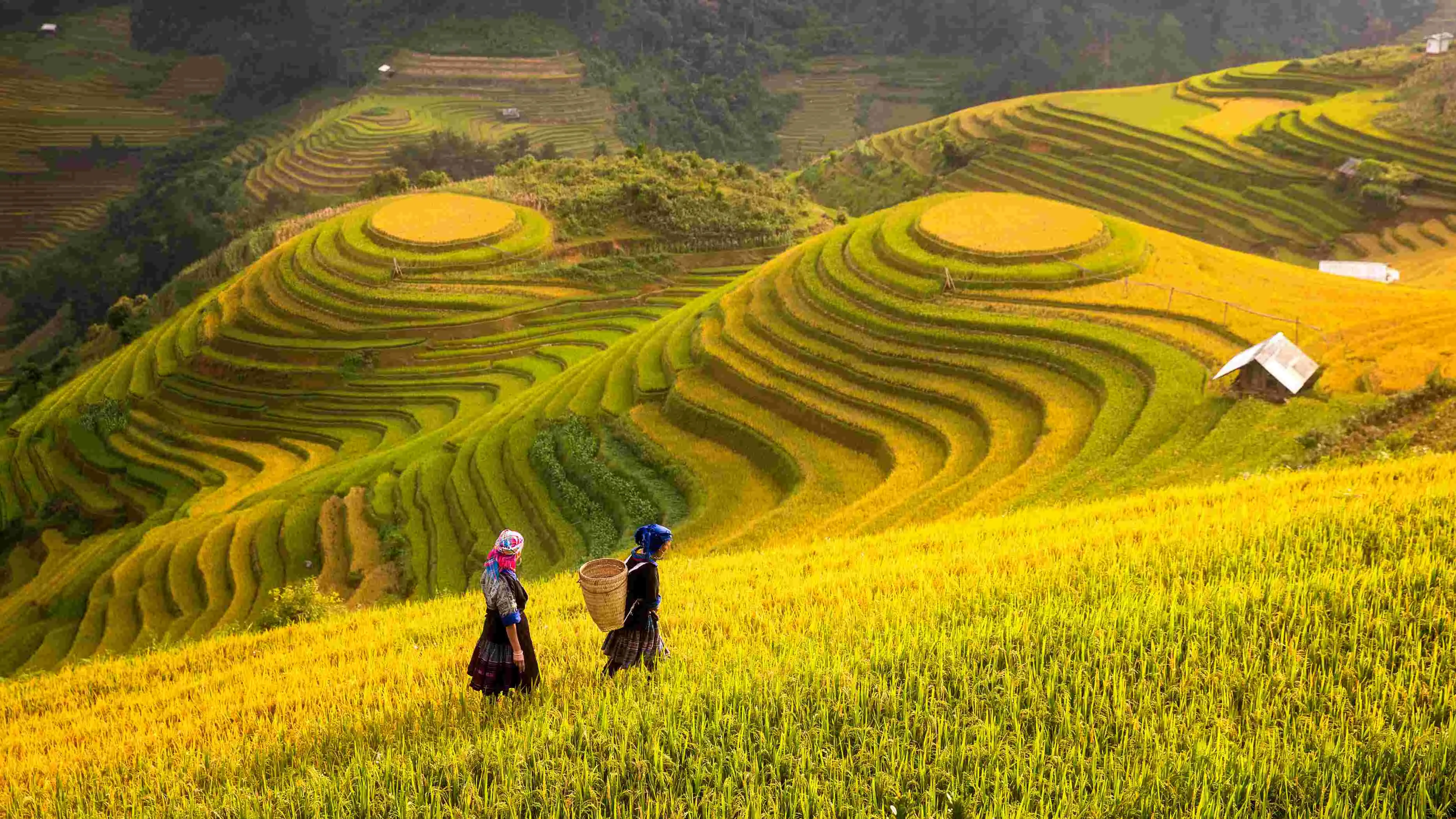 Spectacular Vietnam Tour in 9 Days