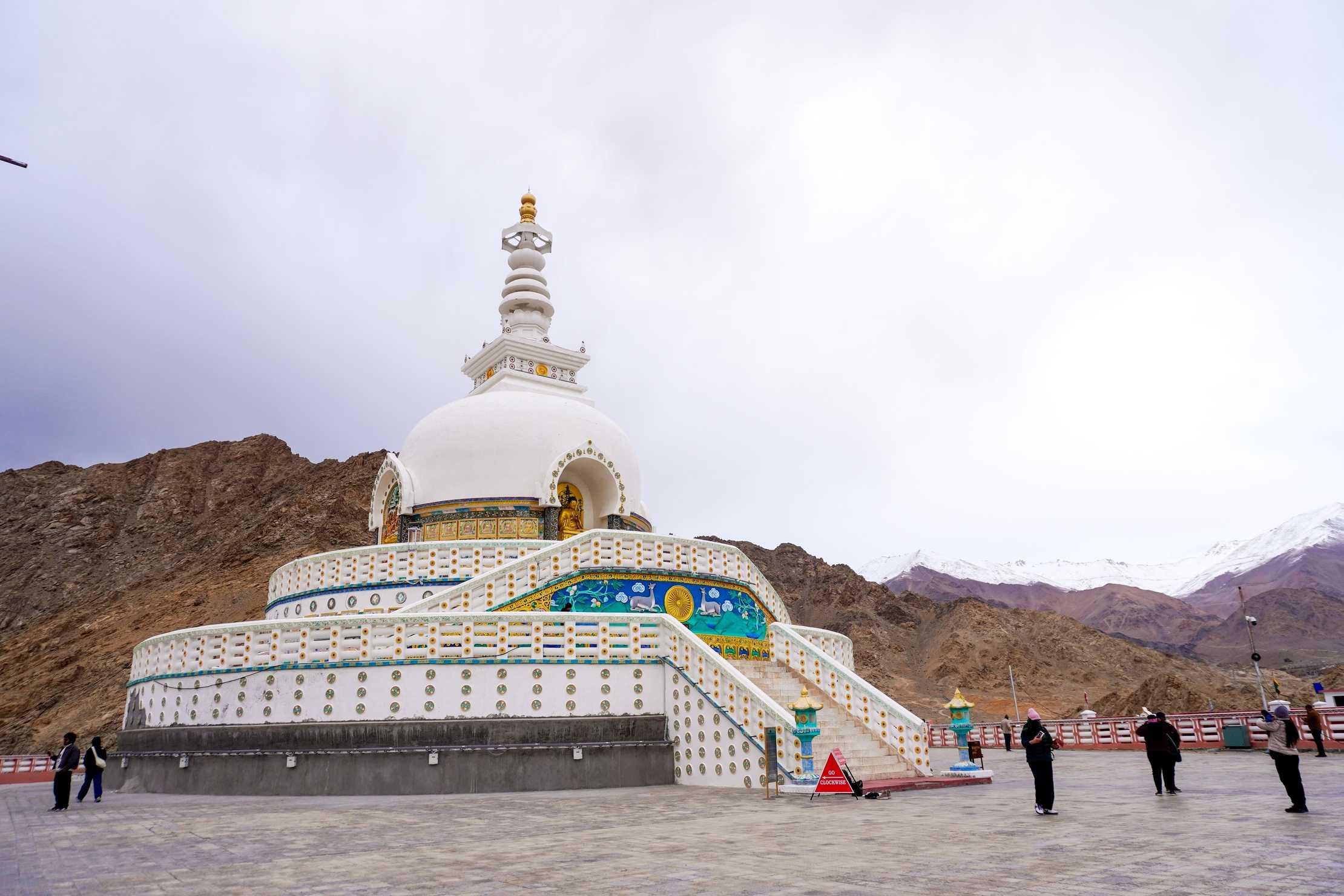 Apricot Blossom Festival Ladakh