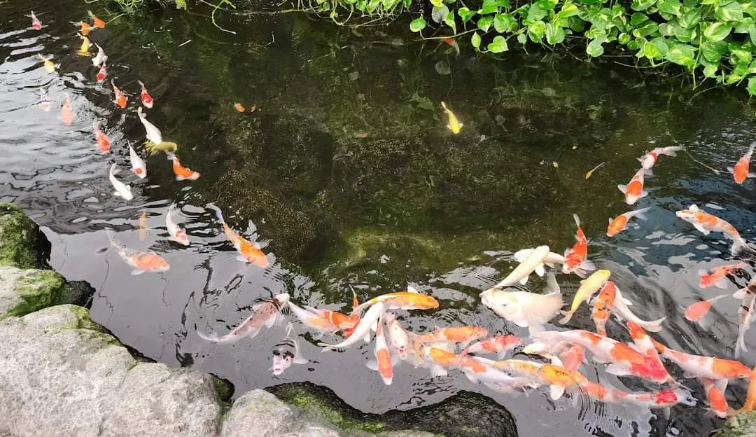 Underwater World Pattaya