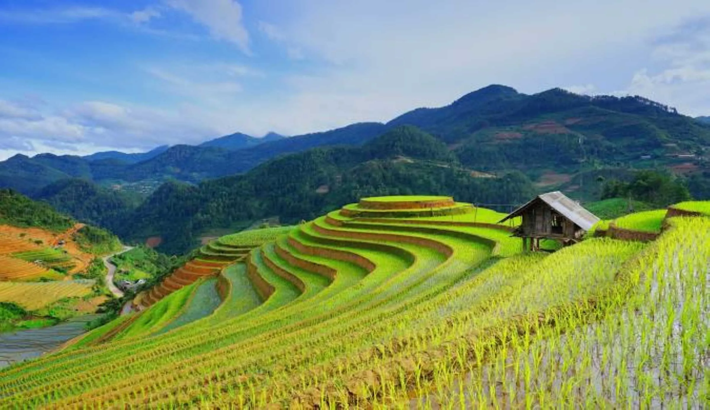 Vietnam Tour Packages from Kolkata – Affordable, Customized, Honeymoon & Group Trips