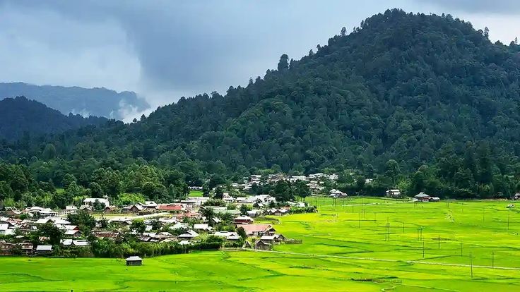 Camping in Ziro Valley: What to Expect at Ziro Festival 2026 (And What It Costs)
