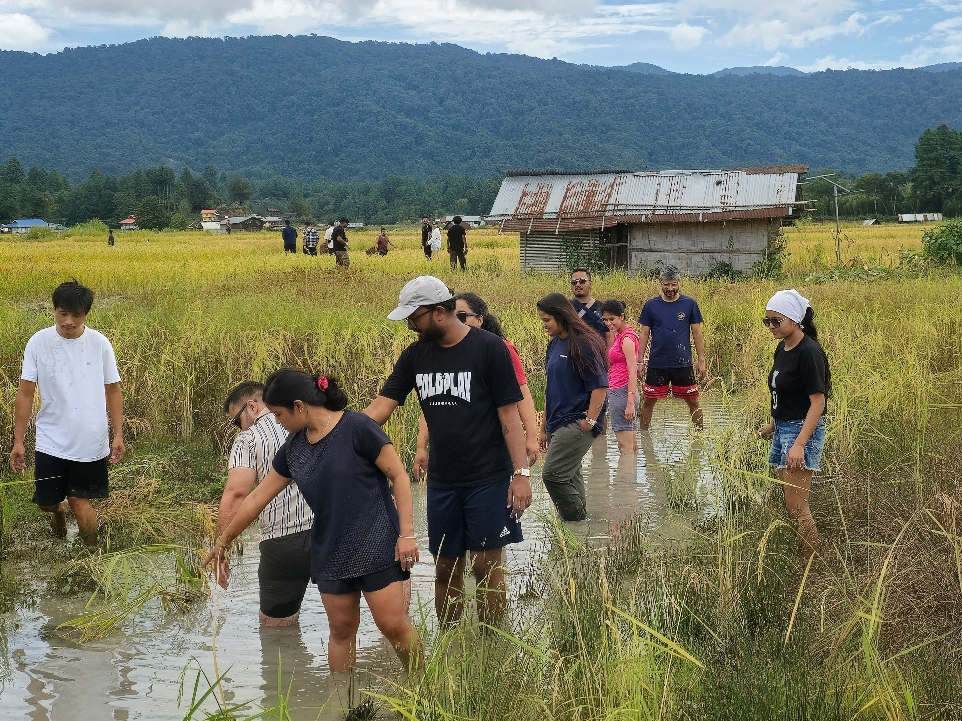 Ziro Festival 2026 from Naharlagun/Itanagar video