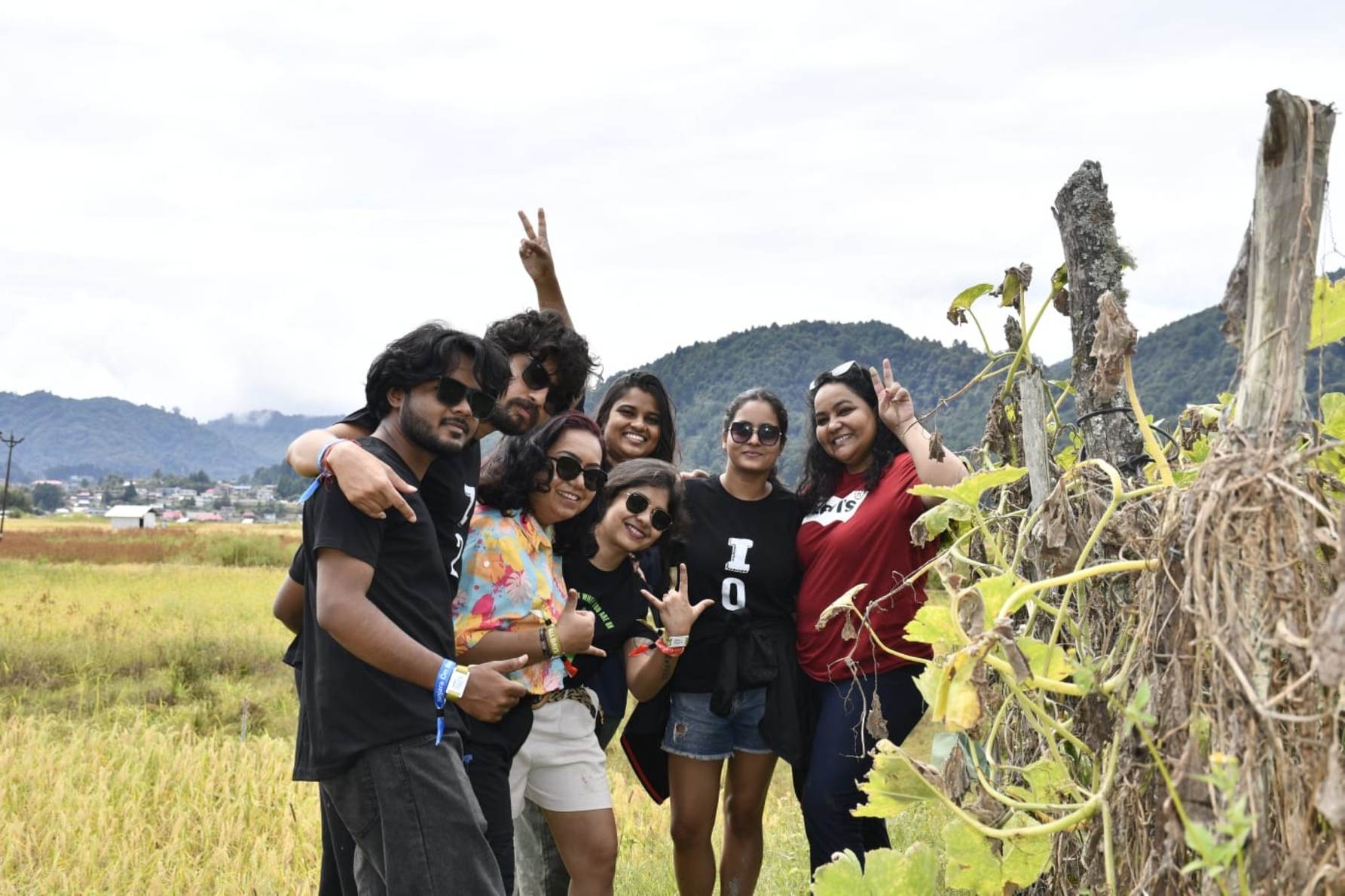 Ziro Festival of Music 2026 – Tour Packages, Lineup, Stages, Schedule & Artist Announcements