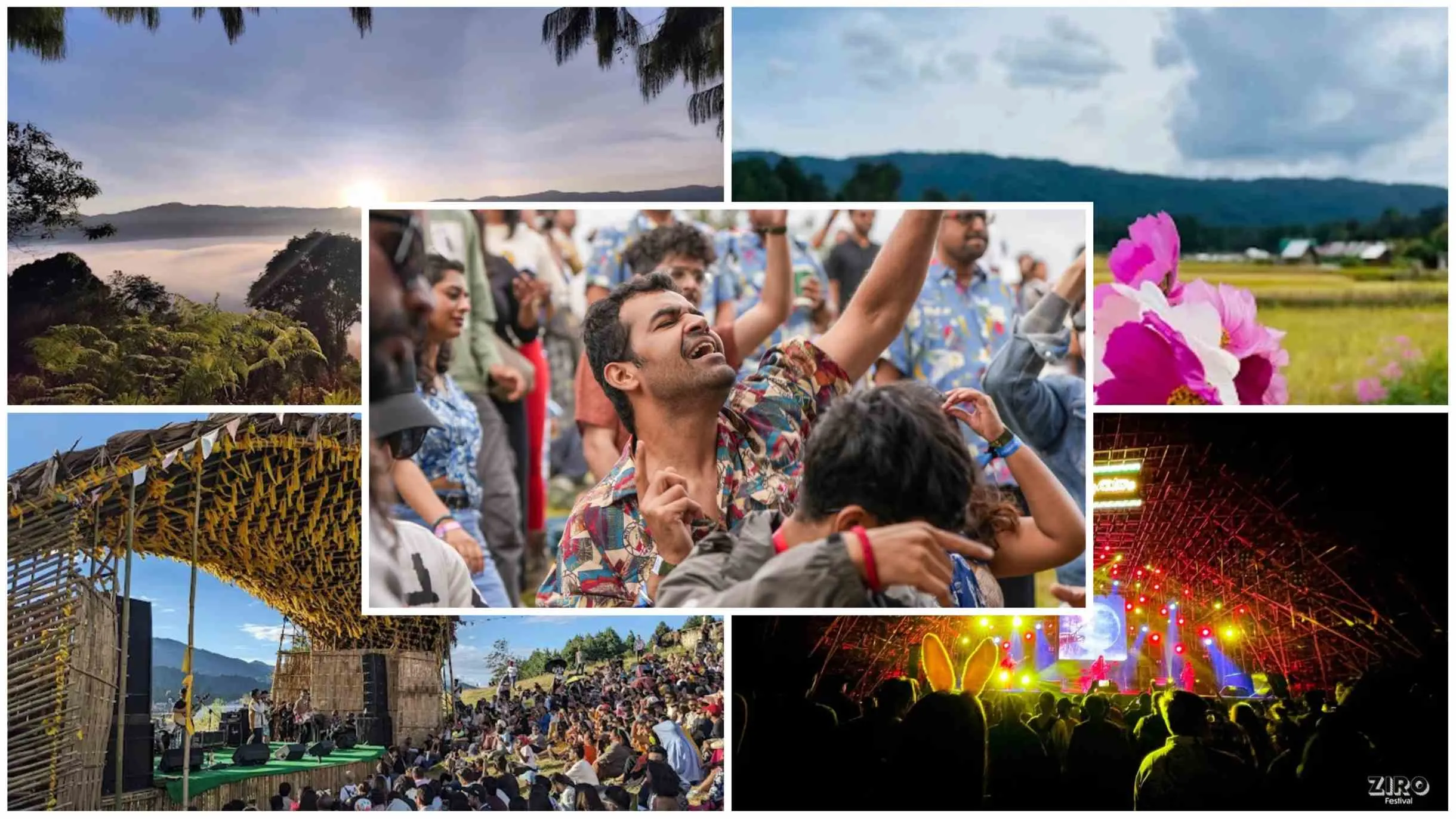 Ziro Music Festival 2025: Why This Isn't Just a Music Festival, It’s a Way of Life